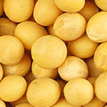 產(chǎn)品圖片5