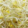 產(chǎn)品圖片6