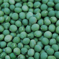 產(chǎn)品圖片6