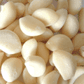 大蒜脫皮機(jī)產(chǎn)品