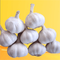 大蒜分瓣機產(chǎn)品