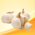大蒜分瓣機產(chǎn)品