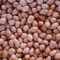 產(chǎn)品圖片2
