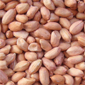 產(chǎn)品圖片3