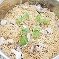 產(chǎn)品圖片4